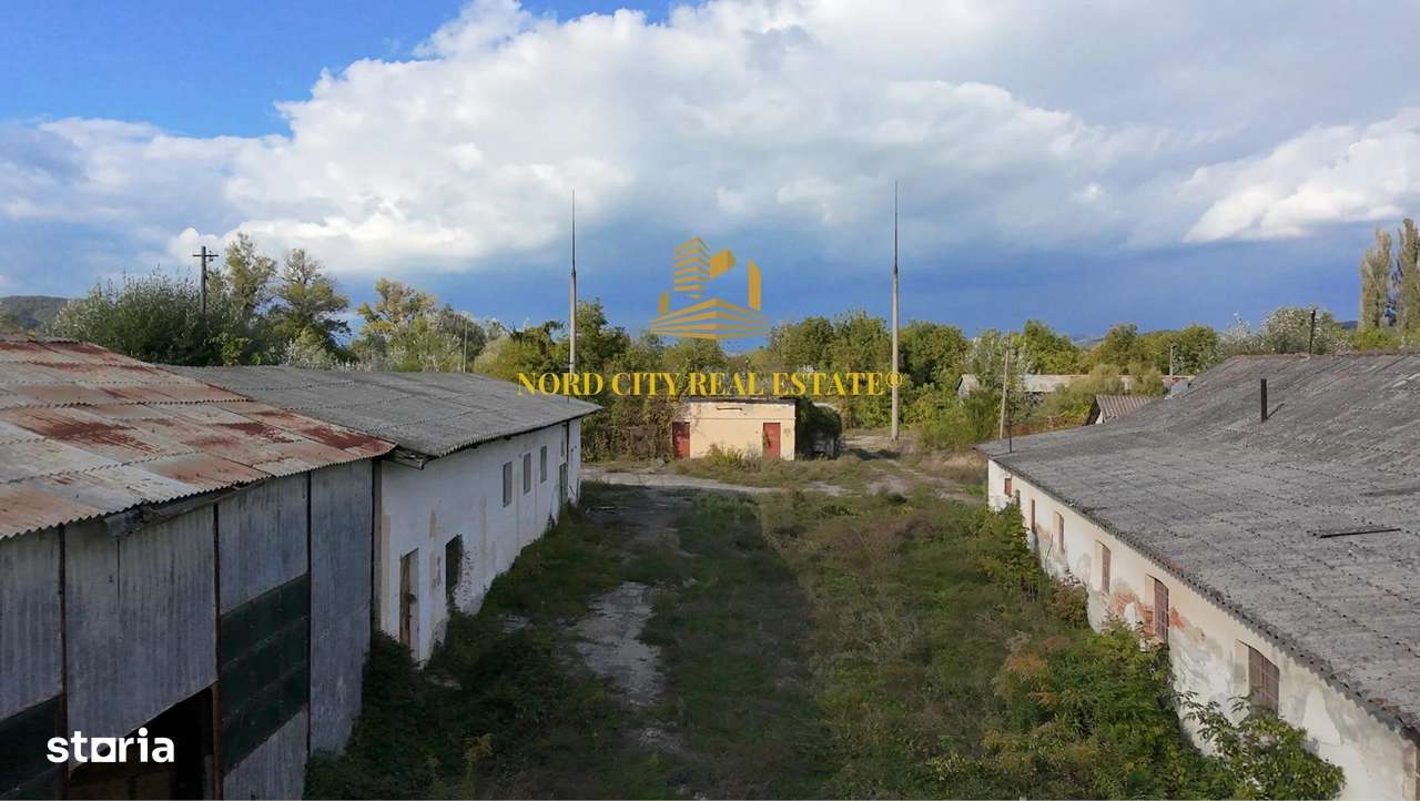 Platforma Industriala-8 ha -Fabrica-Hale Productie-21.500 mp-6