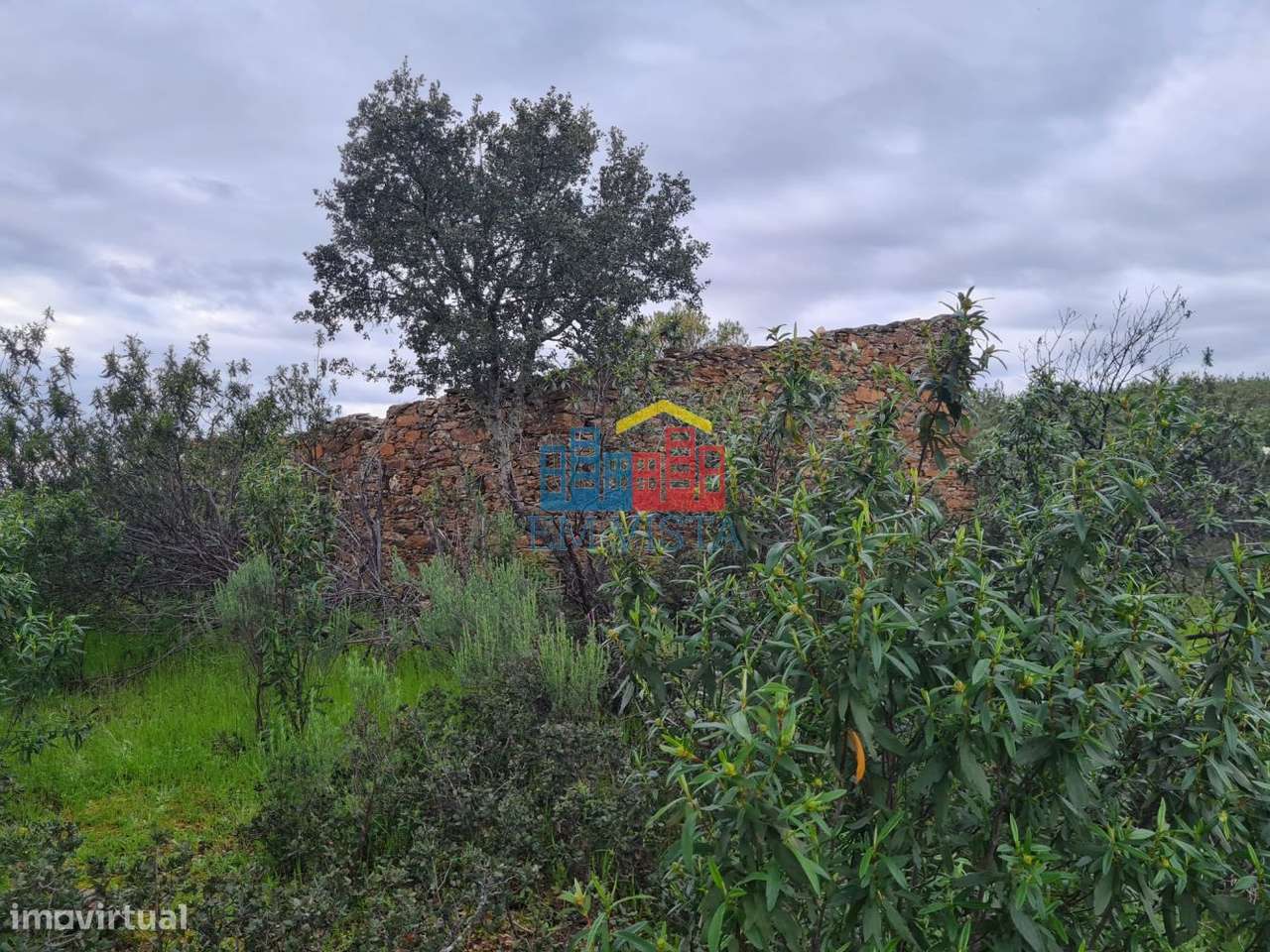 Terreno com ruína junto ao Tejo - Grande imagem: 2/6