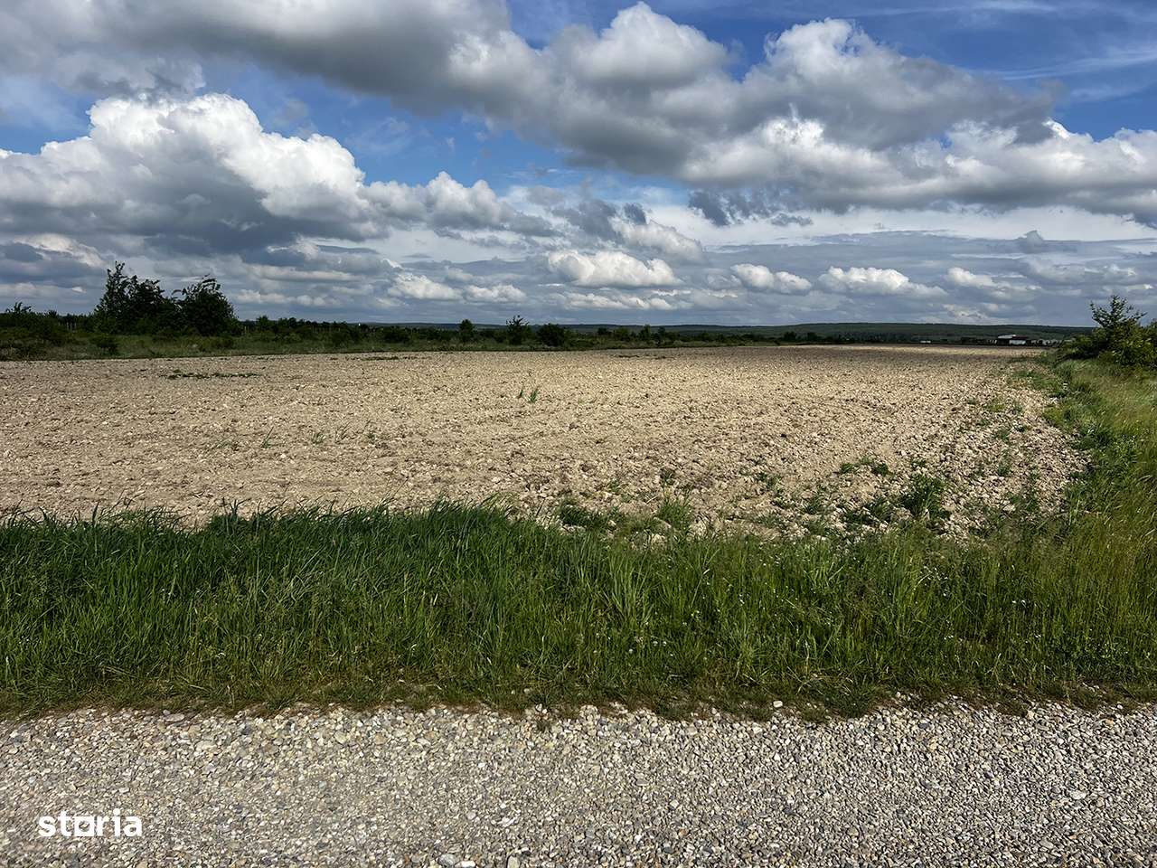 Teren intravilan parcelabil - Pausa, comuna Nojorid - IMOBIHOR - Imagine principală: 4/7