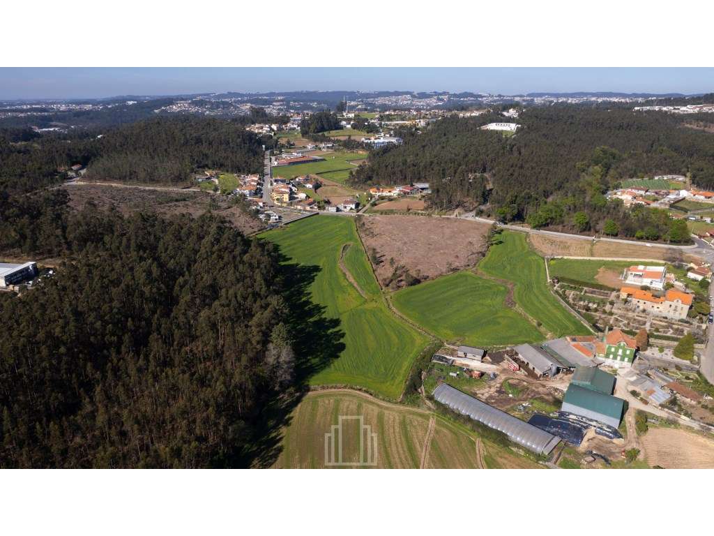 Terreno Rústico - S. Vicente Pereira Jusã, Ovar - Grande imagem: 4/7