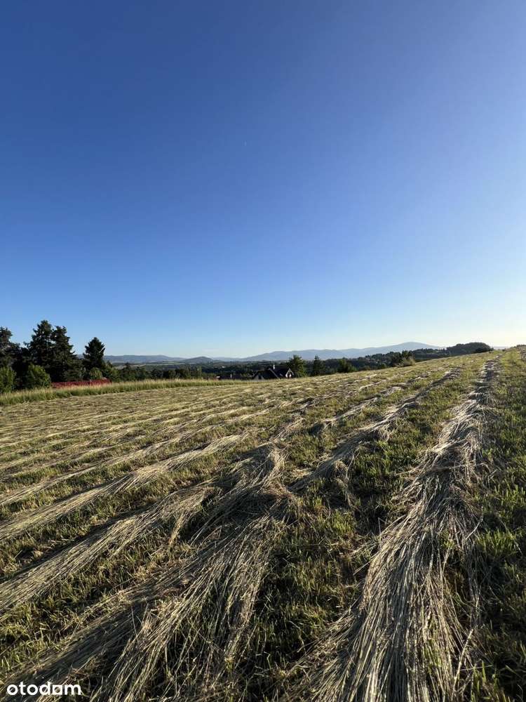 Widokowa działka budowlana w zacisznym miejscu - Pełny obrazek: 2/5