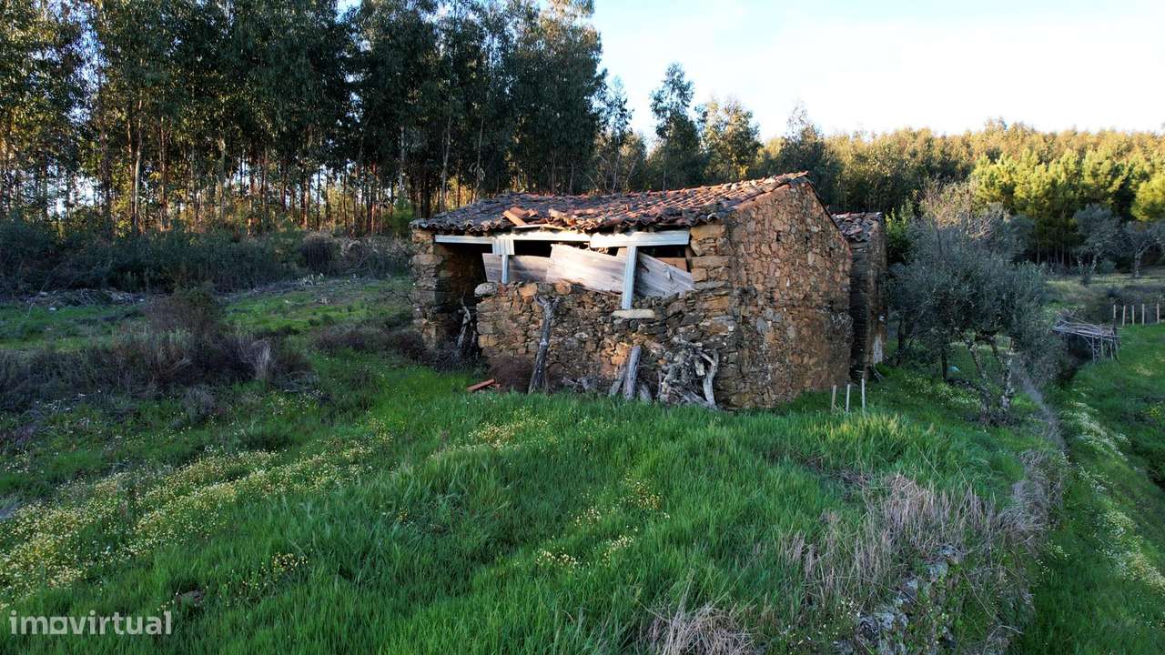 Quinta - Grande imagem: 4/19