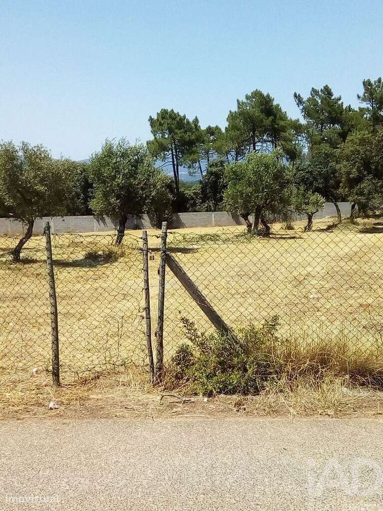 Terreno em Malhou, Louriceira e Espinheiro de 5620,00 m2 - Grande imagem: 5/18