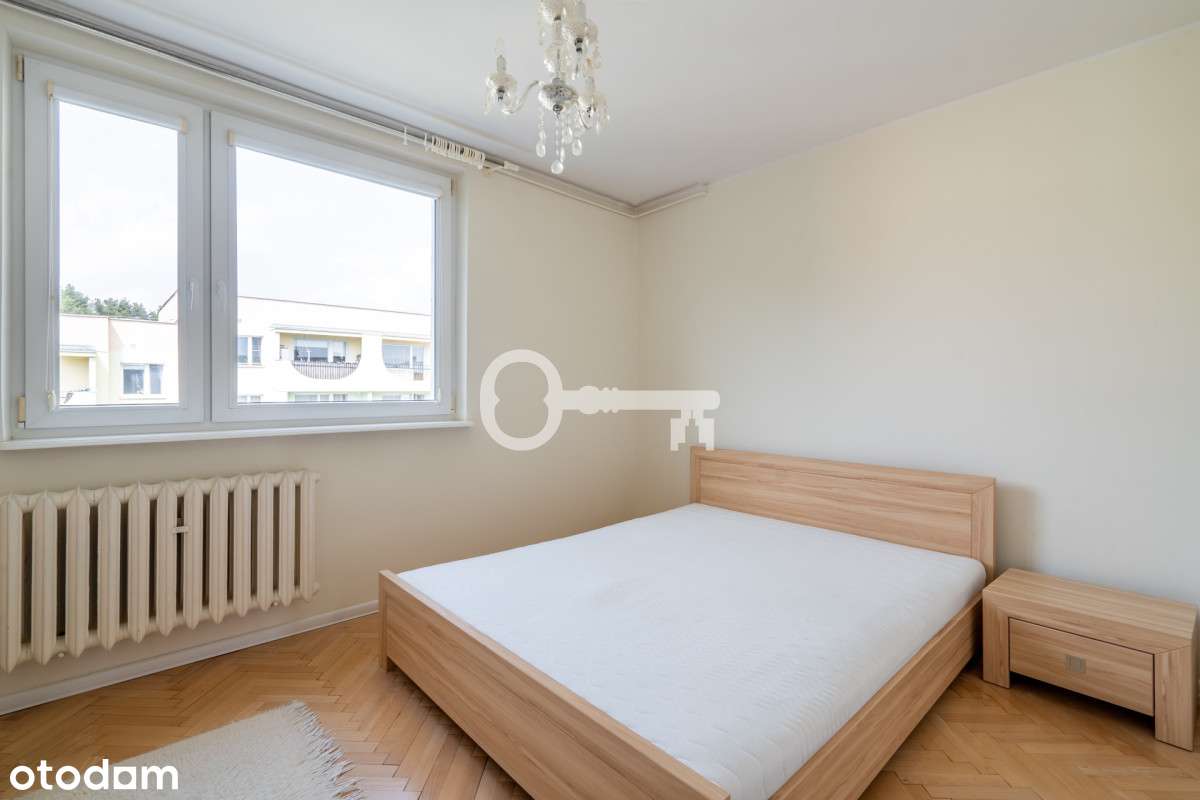 Las | Cisza | Komunikacja - Pełny obrazek: 4/9