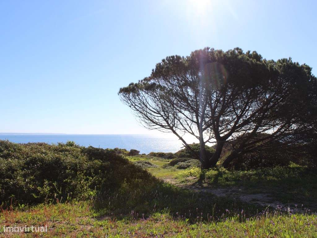 Terreno misto para construção de 2 moradias na falésia da Ponta da ... - Grande imagem: 2/33