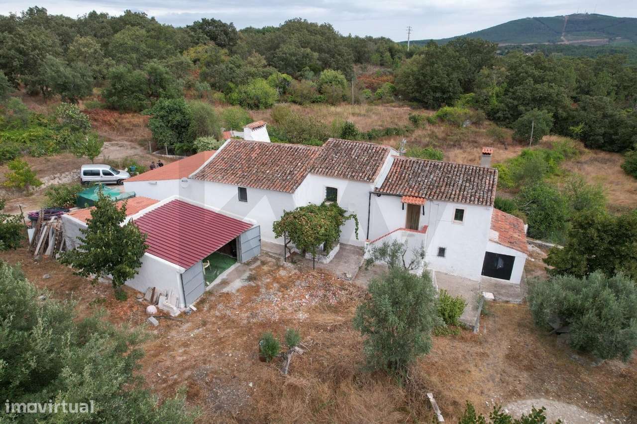 Herdade com 10Ha (100.000m2) na freguesia da Sé, Portalegre - Grande imagem: 3/28