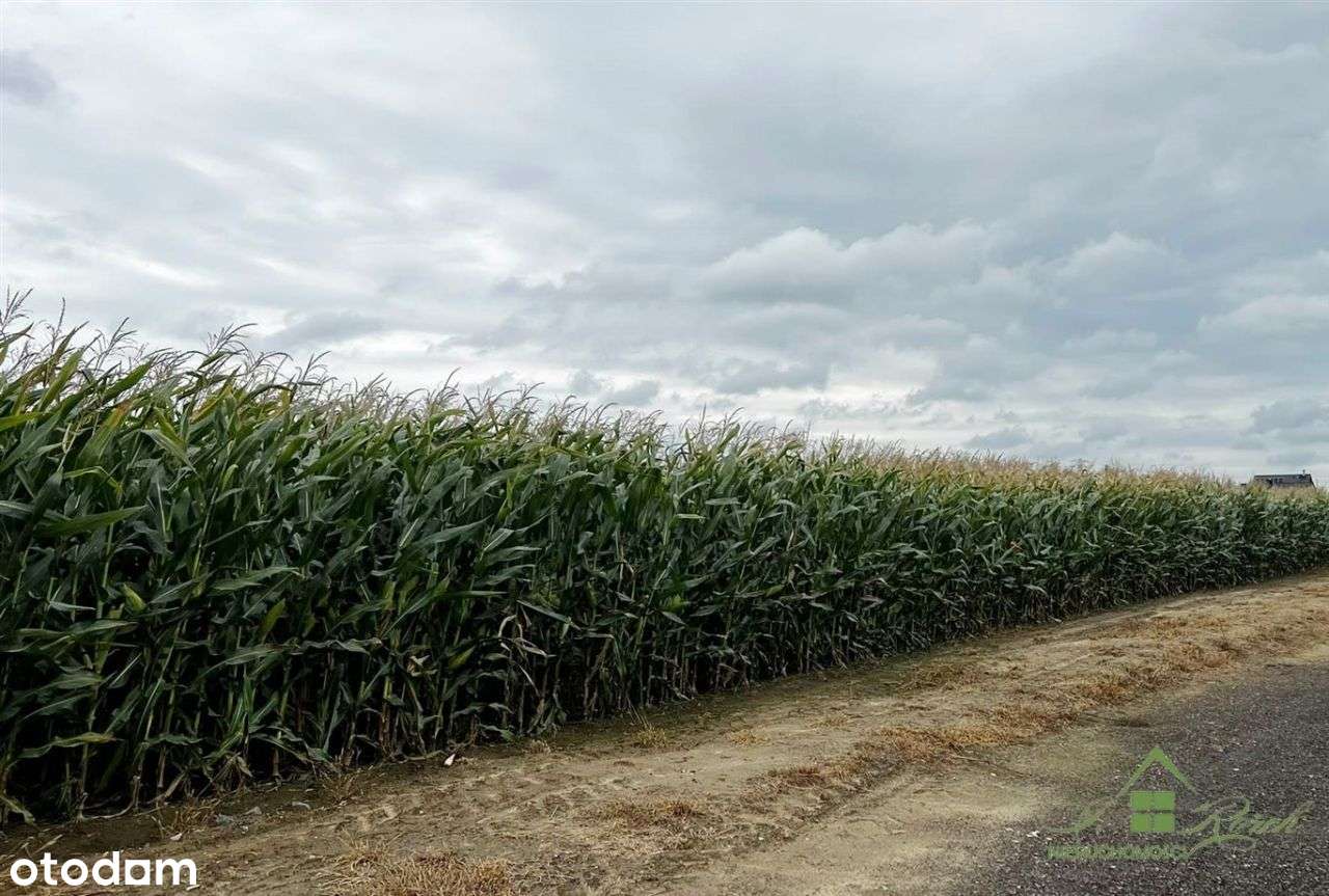 Działki Budowlane Mościska 3656M2-7