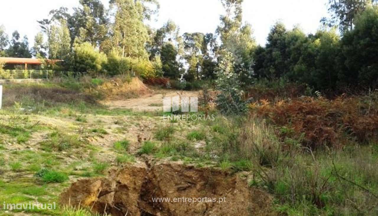 Venda de Terreno, Barroselas, Viana do Castelo - Grande imagem: 3/7
