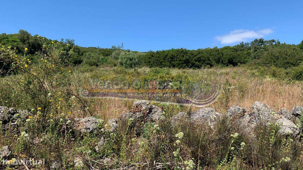 Terreno em Alhandra (ALH017) - Grande imagem: 4/6