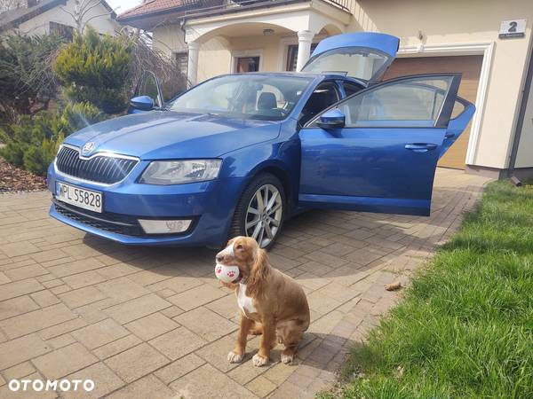 Skoda Octavia 1.4 TSI Edition - 25