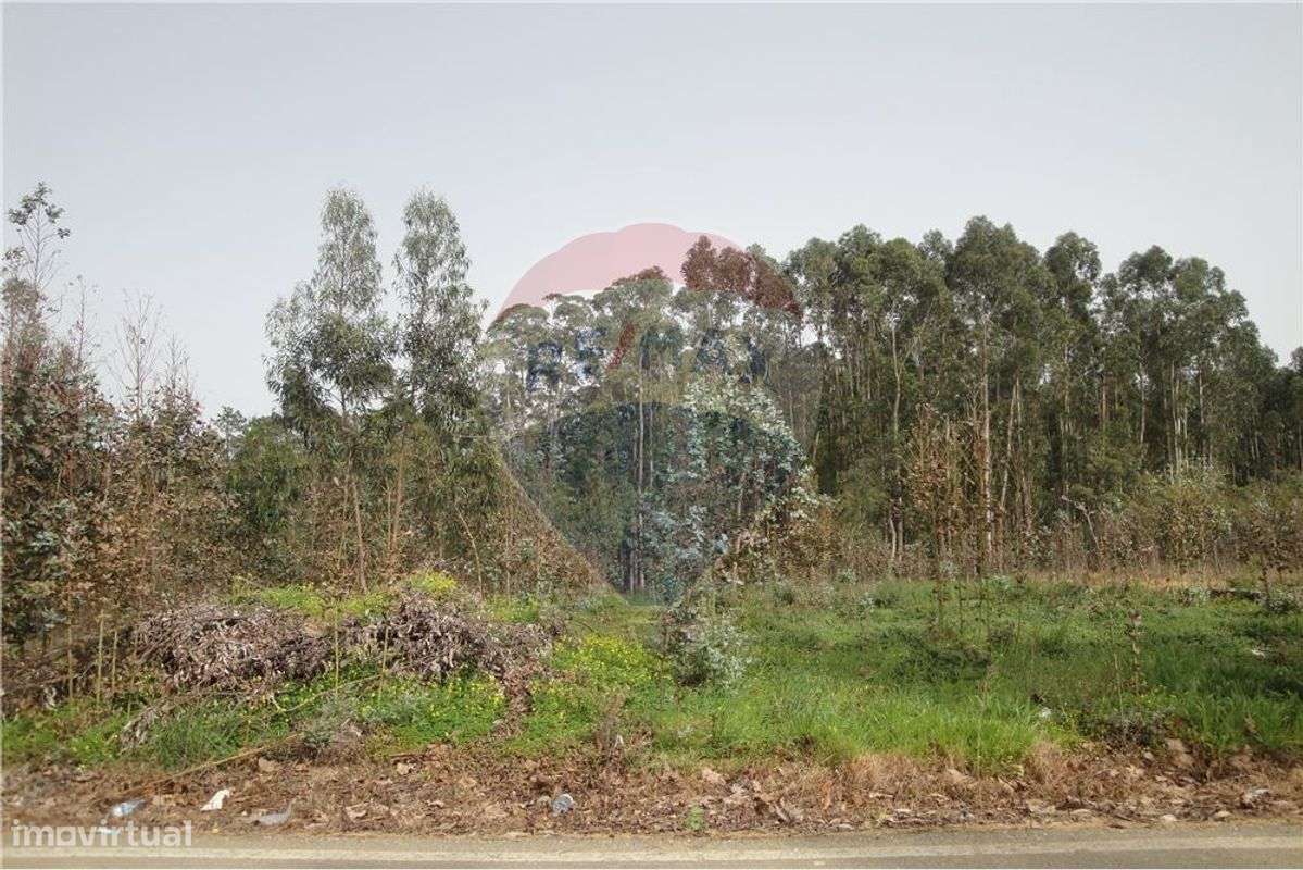 Terreno  para venda - Grande imagem: 2/3