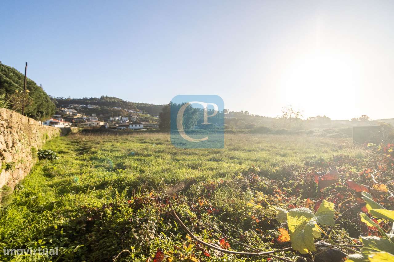 Terreno para construção em Reguenga - Grande imagem: 5/15