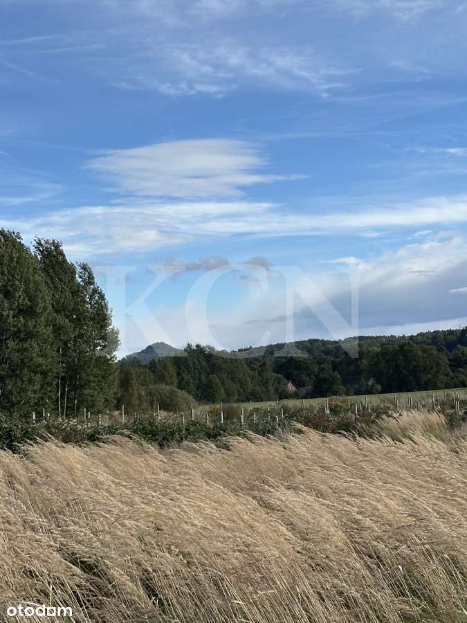 Działka "na odludziu" w miejscowości Dłużec-2