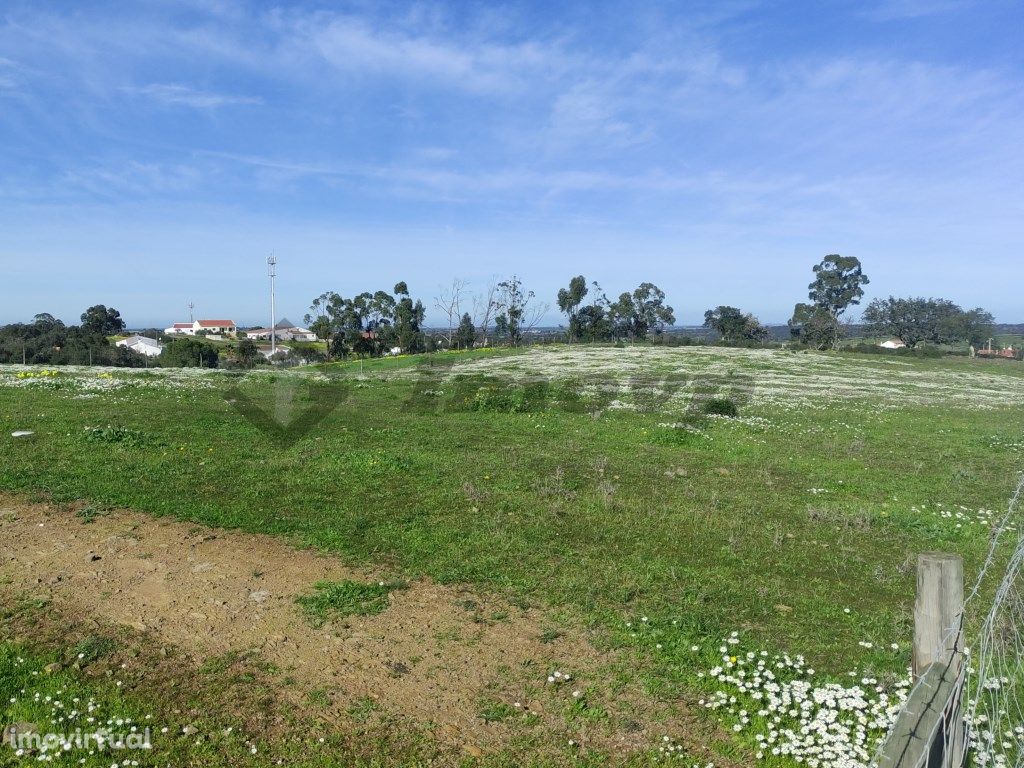 Terreno rústico de 0,775Ha localizado na Dogueno - Almodôvar