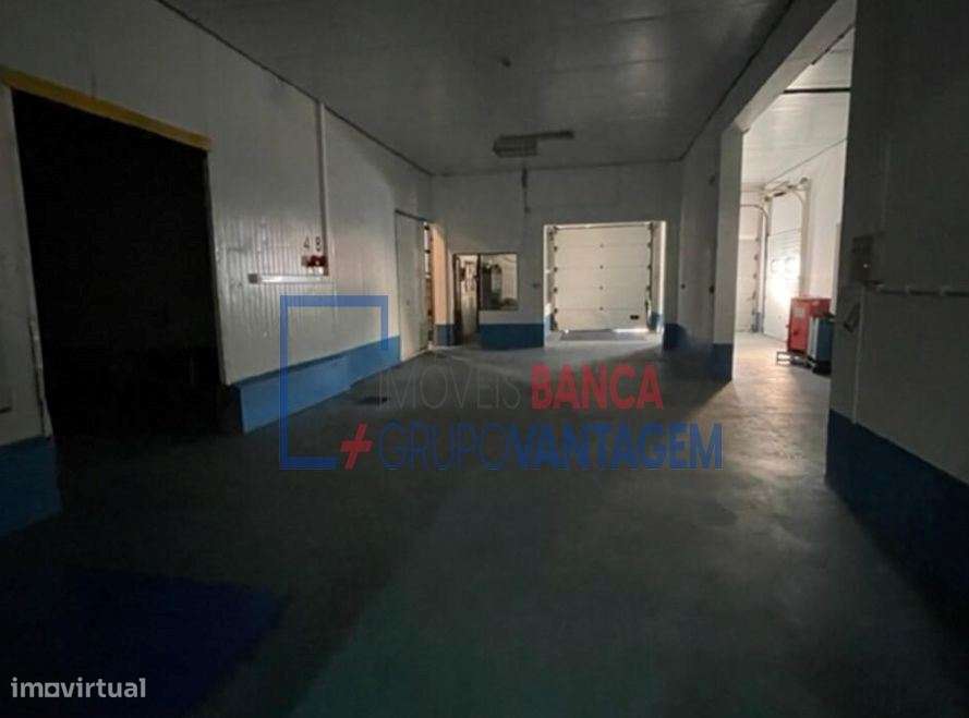 ARMAZEM INDUSTRIAL - TERCEIRA - PRAIA DA VITORIA - Grande imagem: 5/22