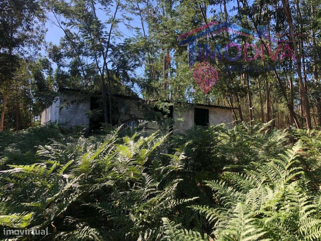 Arrecadação e terreno em Castanheira de Pera-12