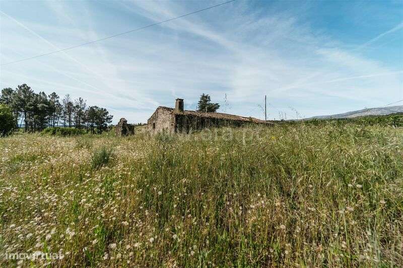 Quintinha T5 / Covilhã, Teixoso-14