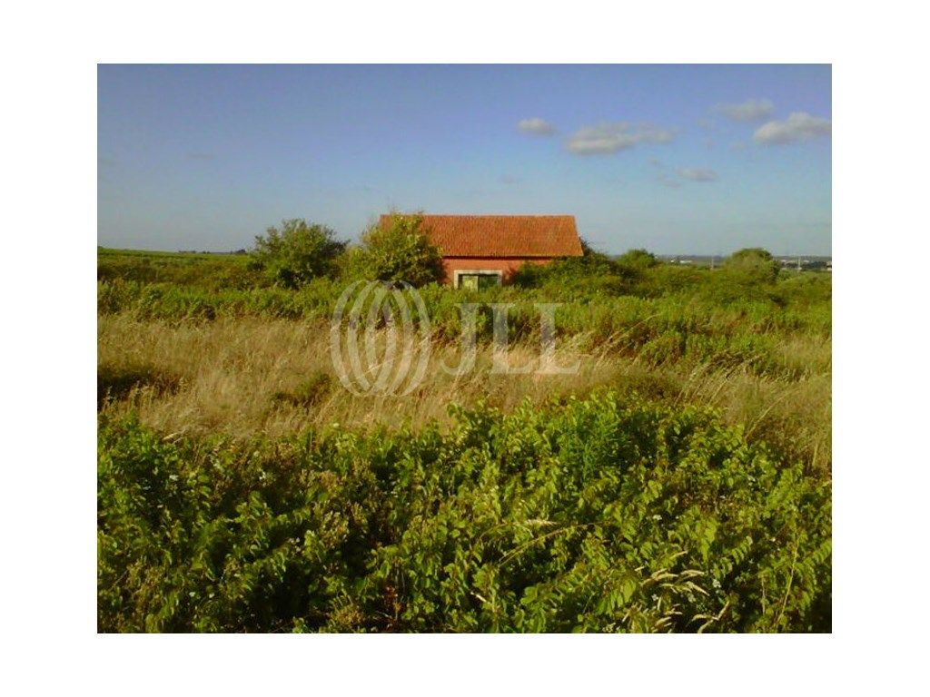 Propriedade agrícola no Cartaxo