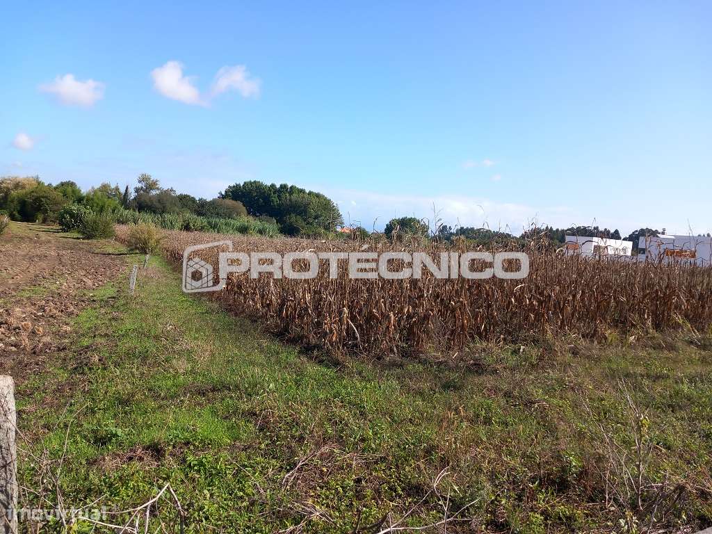 Terreno p/ construção – Oliveirinha - Grande imagem: 5/5