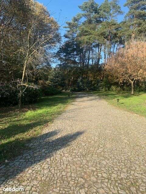 Piękny dom w lesie.., Dabcze-13