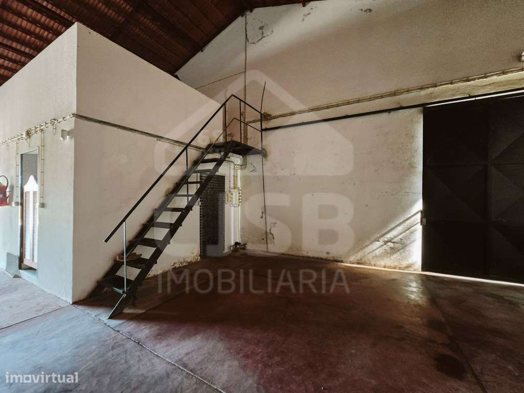 Quinta T5 na Branca-29