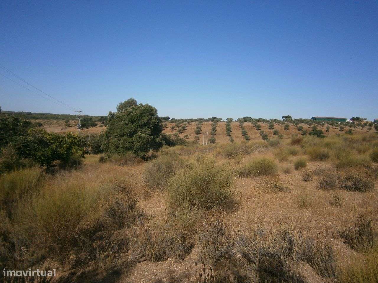 Terreno - Grande imagem: 5/9
