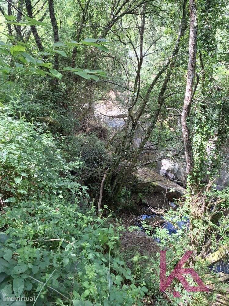 Quinta em Amarante para recuperação - Grande imagem: 5/20