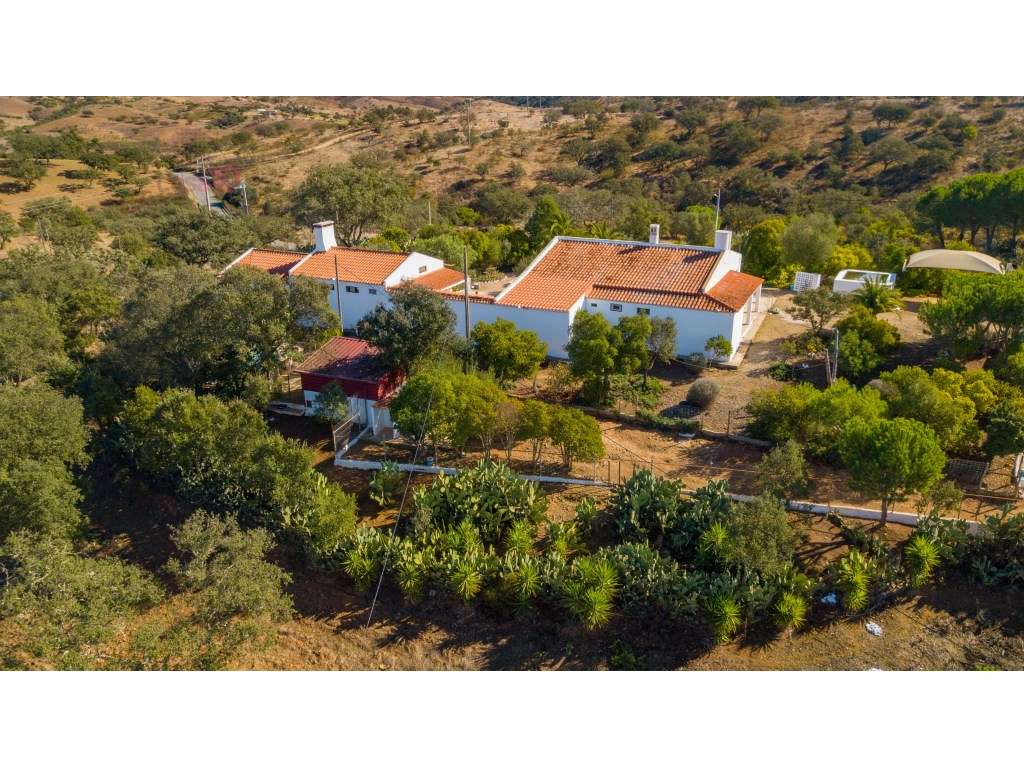 Monte Alentejano para habitação e potencial para turismo rural - Sa... - Grande imagem: 4/48