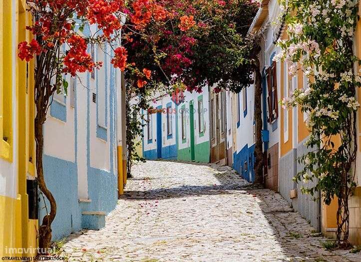 Loja - Grande imagem: 4/12