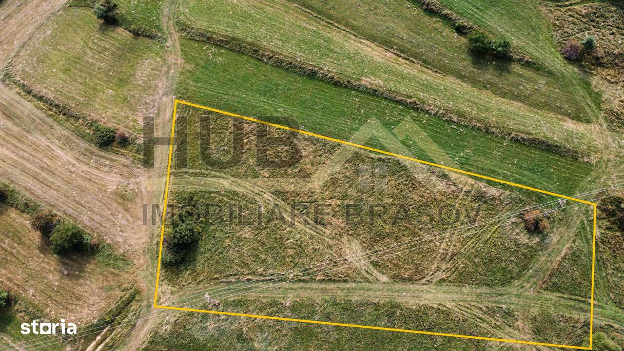 Teren de Vanzare Zarnesti | Utilitati | 3.698mp - Imagine principală: 4/8