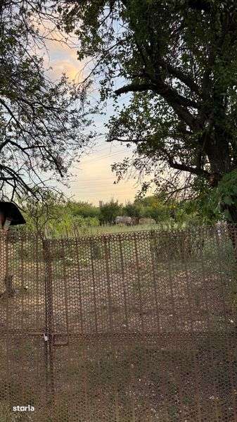 Vand teren intravilan 2500m2 Iezureni, str. Paltinului nr. 13 - Imagine principală: 4/8