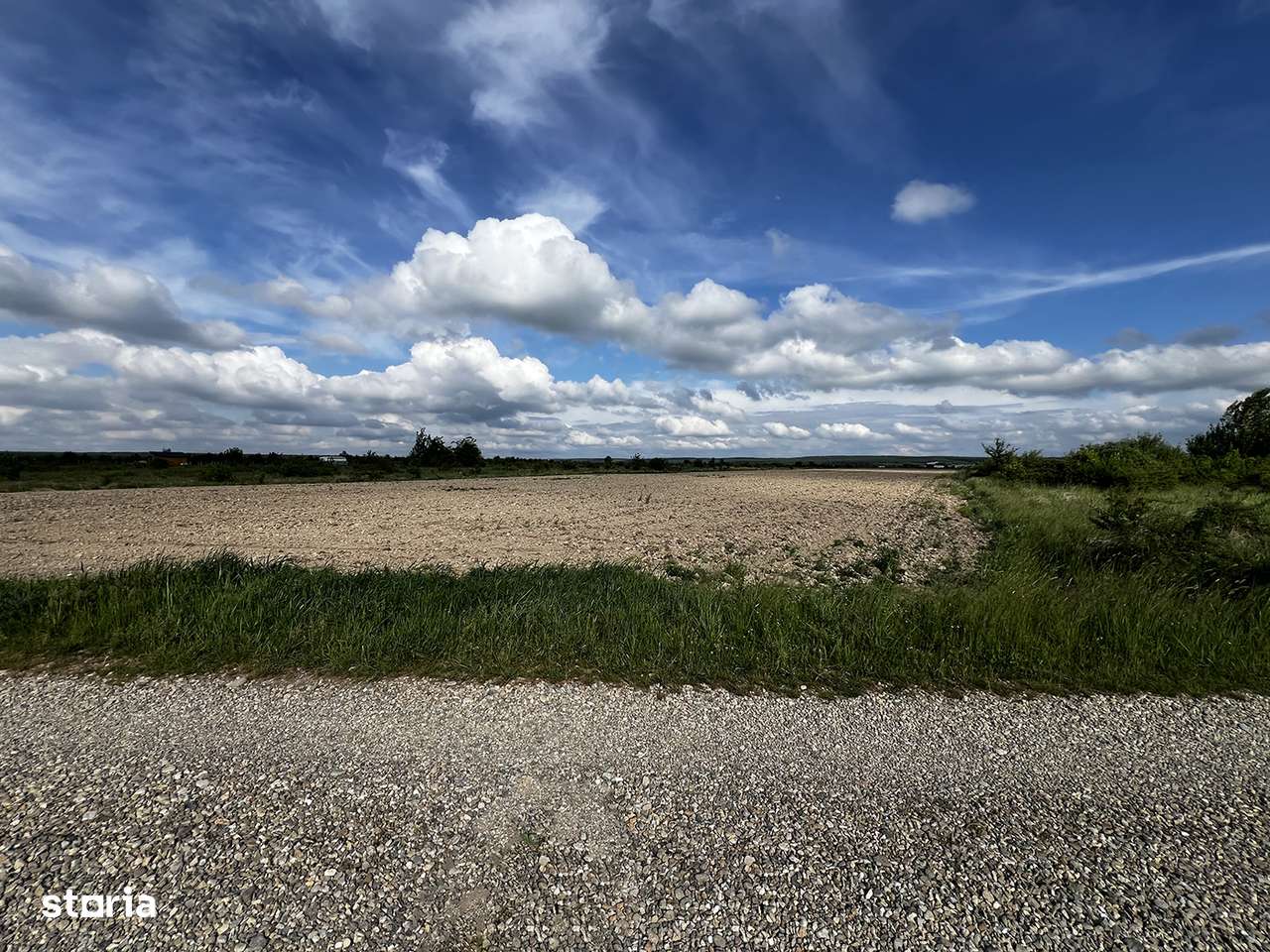 Teren intravilan parcelabil - Pausa, comuna Nojorid - IMOBIHOR - Imagine principală: 5/7