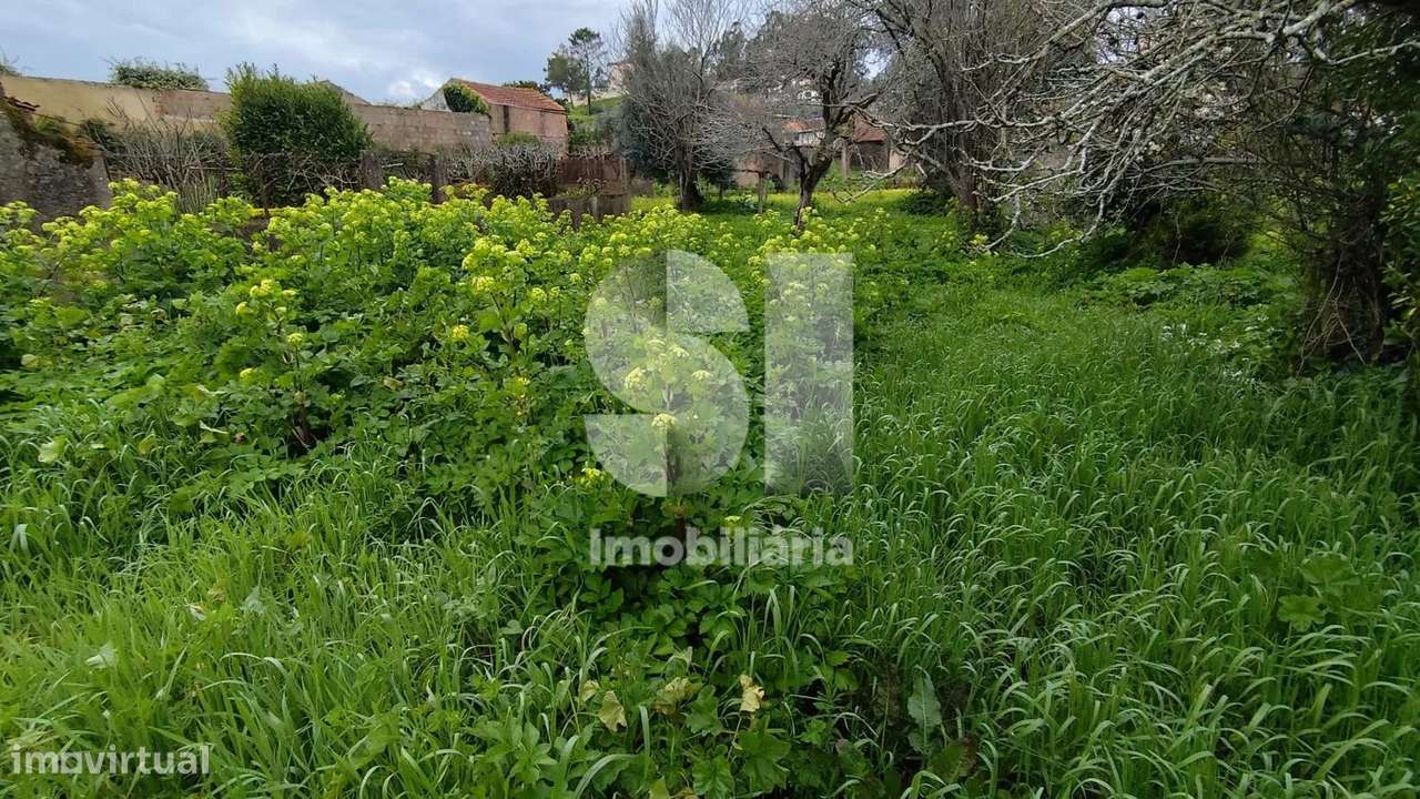 Terreno Urbano 750 m2 Mata da Curia - Grande imagem: 4/6