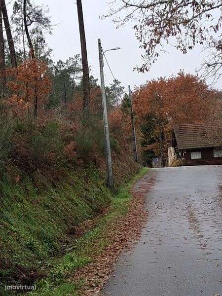 Terreno de frente com a barragem de Fagilde Mangualde - Grande imagem: 5/7