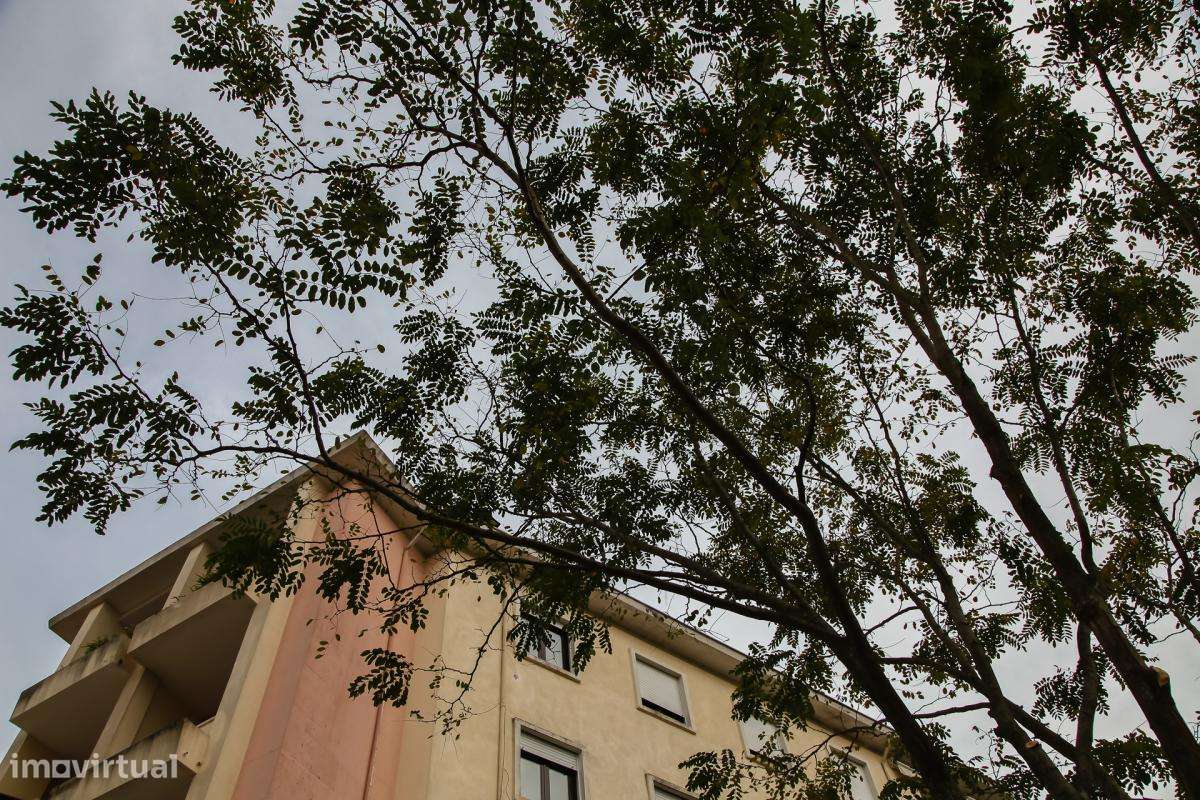 Quarto - localizado em Cidral Coimbra - Grande imagem: 5/8