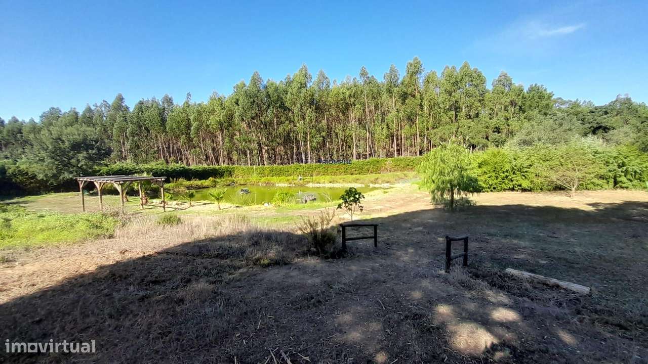 Quinta 20.800m2 e Lago, C/ Projeto Aprovado P/ Moradia, Piscina e 4 T1 - Grande imagem: 2/20