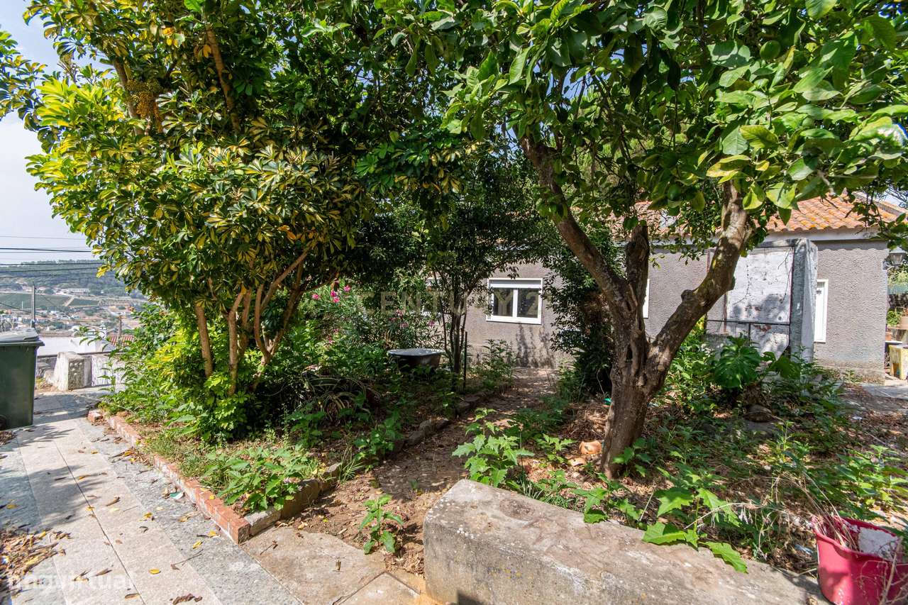 Moradia T3 em São João dos Montes - Grande imagem: 5/53