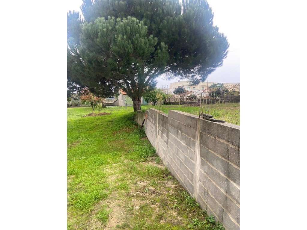 Casa térrea para recuperar na Carapinheira-20