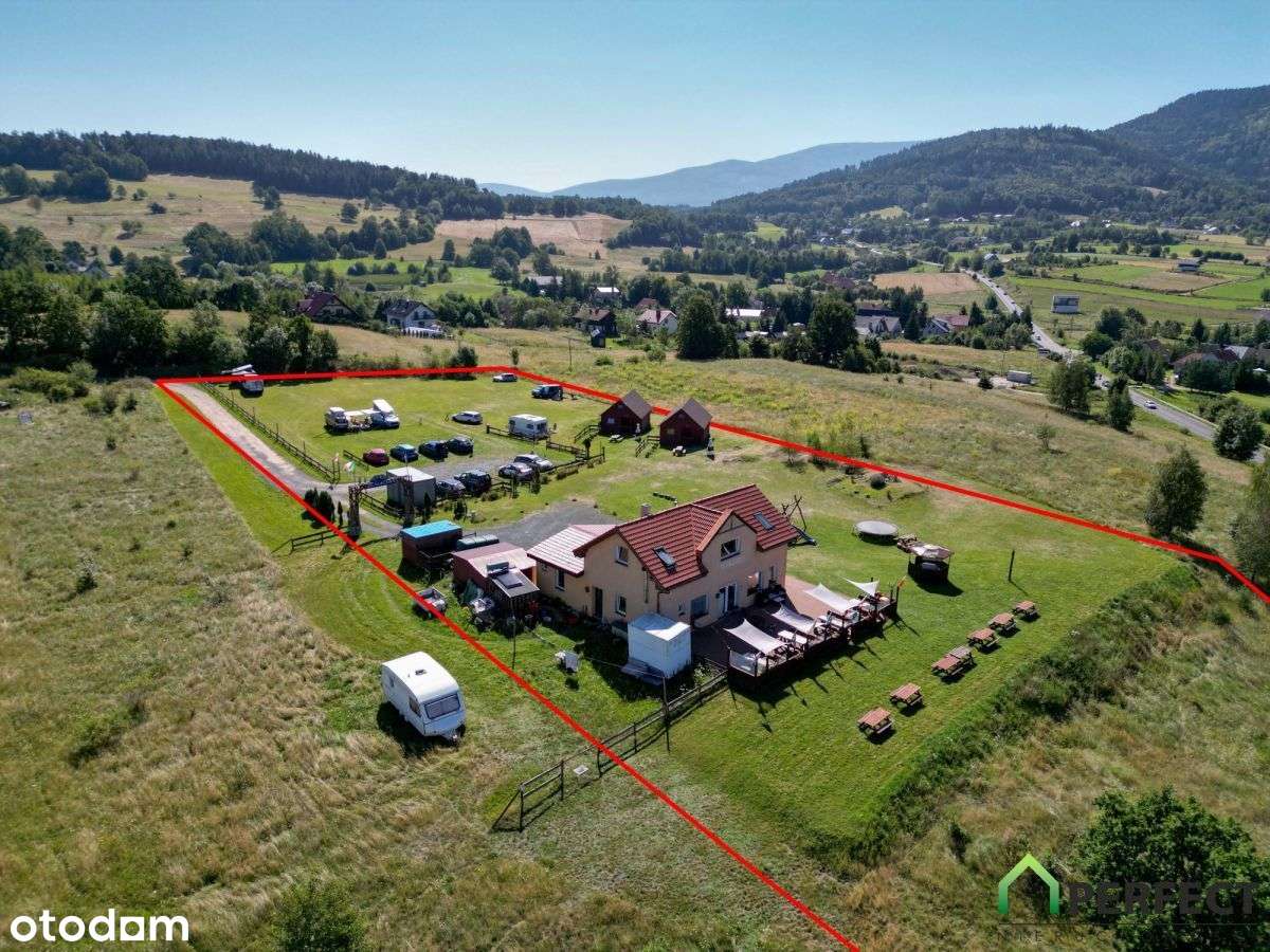 Złoty widok - Pełny obrazek: 5/6