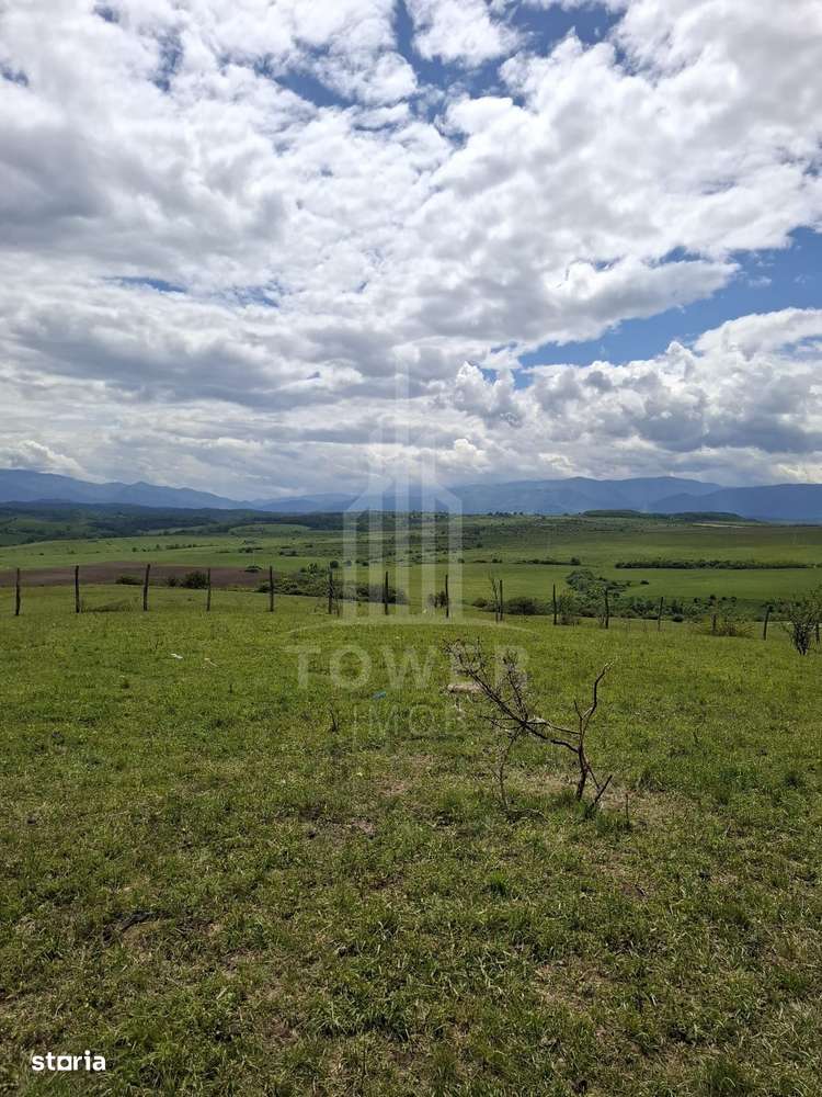 De vanzare, teren 11.500 mp – Dealul Dăii,  Vedere panoramică spre mun - Imagine principală: 5/12