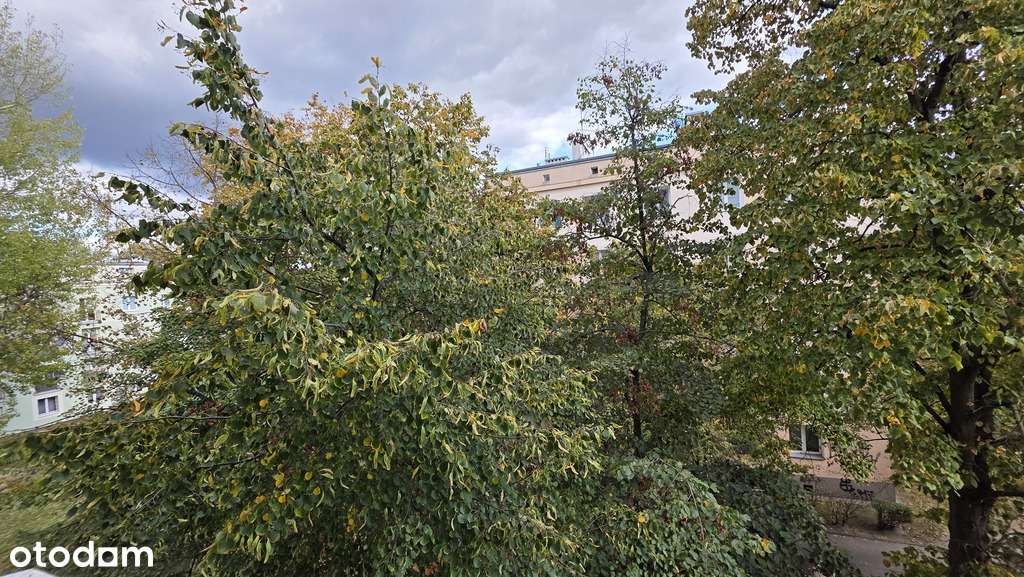 ⭐Drewniany Parkiet Buk⭐Nowe wnętrze⭐Kamienica⭐-5