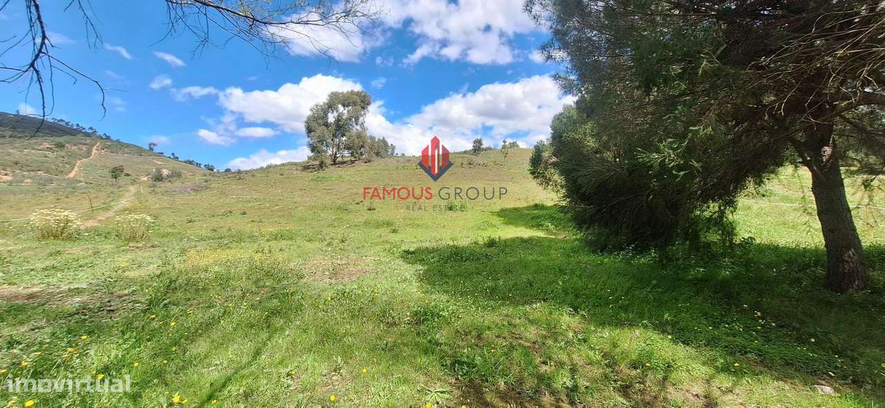 Terreno Rústico com riacho - Tojeiro - Marmelete - Grande imagem: 4/10