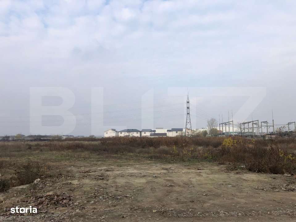Teren intravilan, 24000 mp, front de peste 150 ml, Calea Severinului - Imagine principală: 5/7