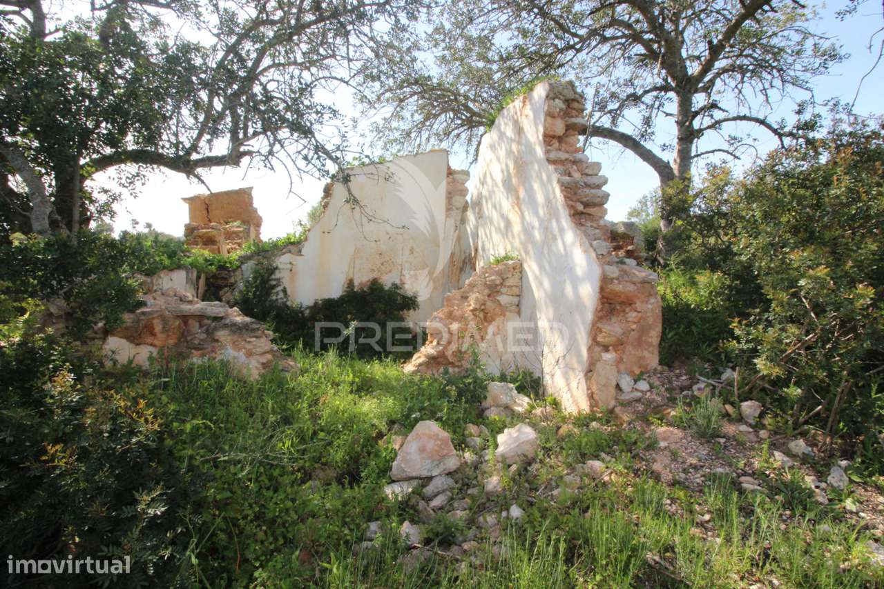 Ruína geminada, com terreno - Grande imagem: 4/16