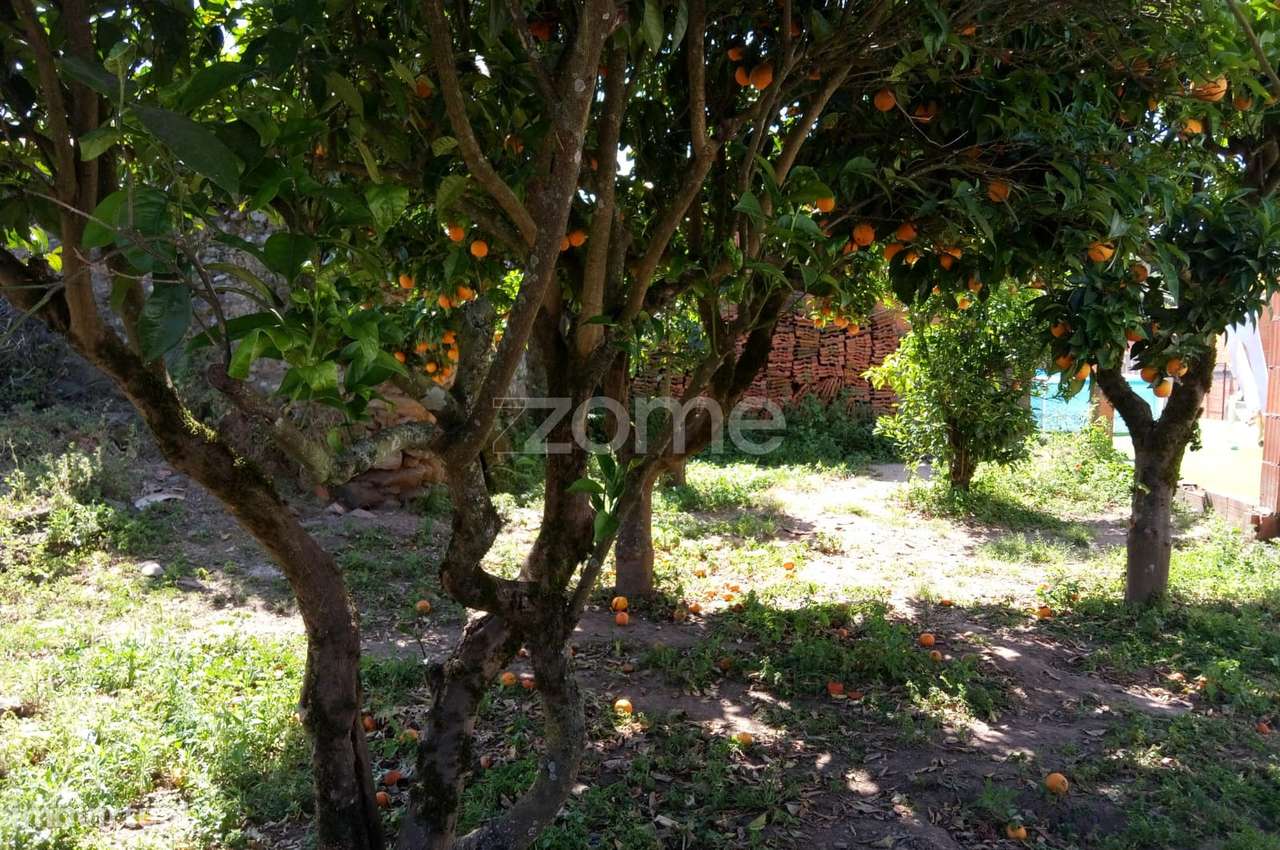 Moradia T1 + 2 com terreno | Tomar - Grande imagem: 4/25