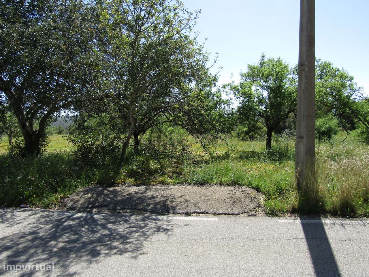 Terreno Rústico em Boliqueime - Grande imagem: 2/6