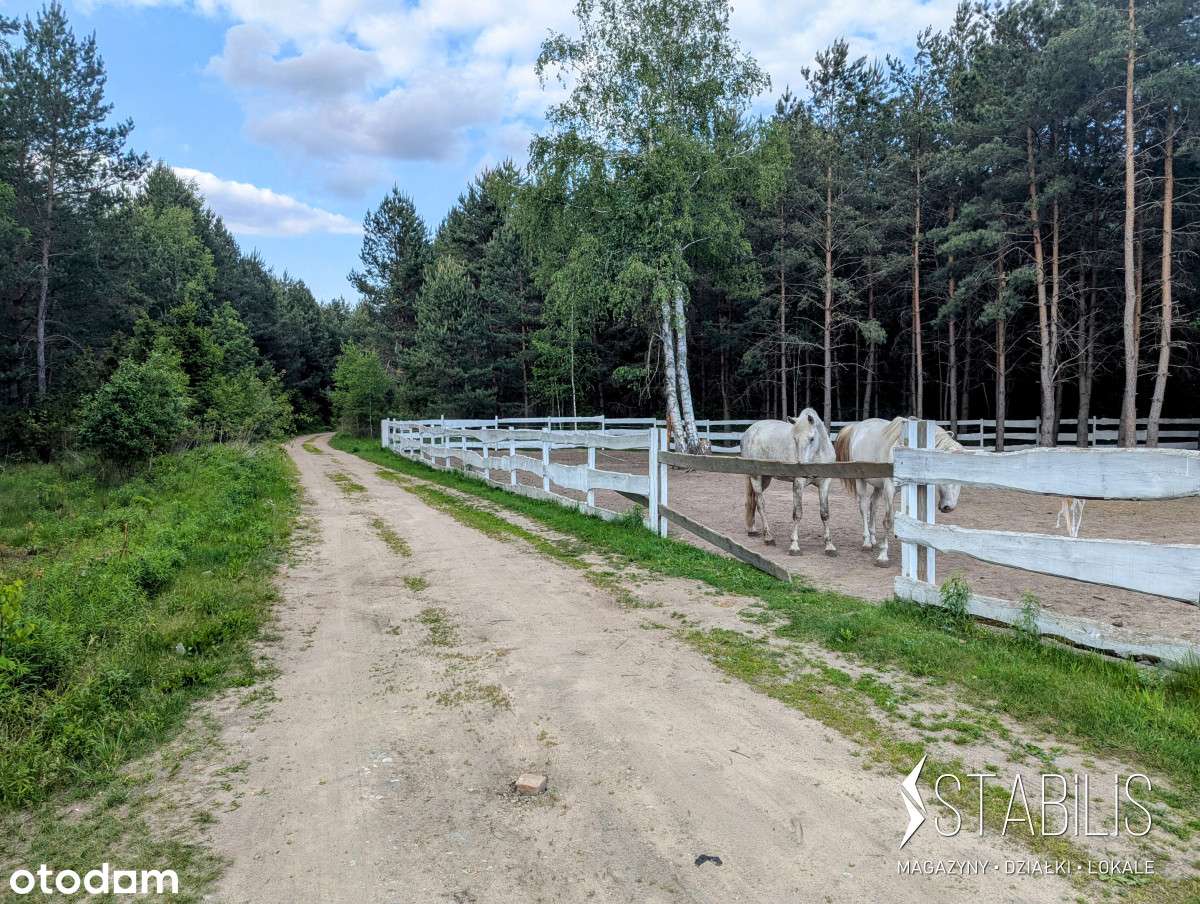 Malownicze osiedle na skraju lasu / Działki z Mpzp-5