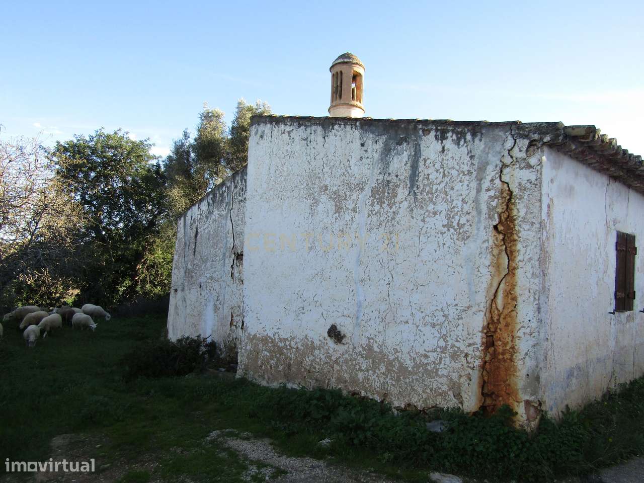 Moradia para restaurar - Grande imagem: 3/7