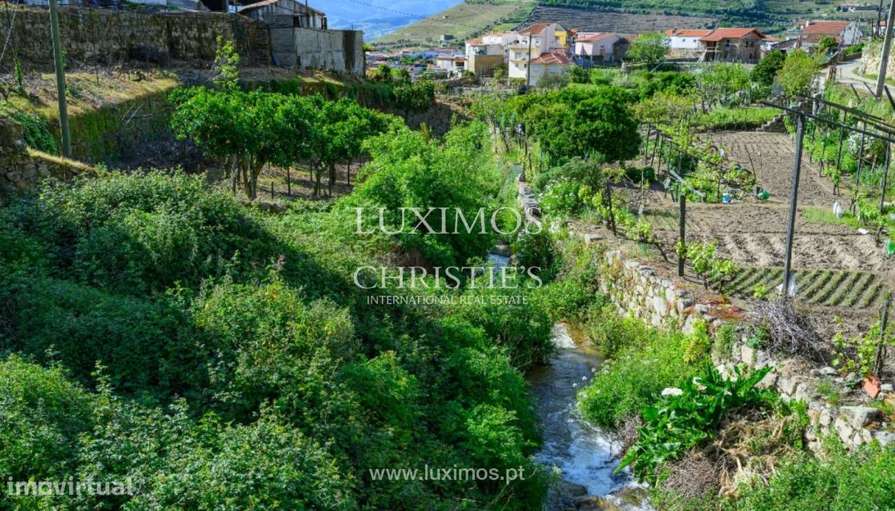 Quinta vinícola para venda no Alto Douro Vinhateiro, Douro Valley - Grande imagem: 5/24