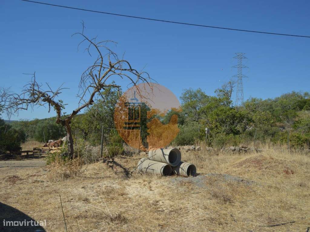 Terreno Rústico Desbarato, Santa Catarina da Fonte do Bispo - Grande imagem: 2/19